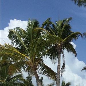 Meet your Posher, Sienna